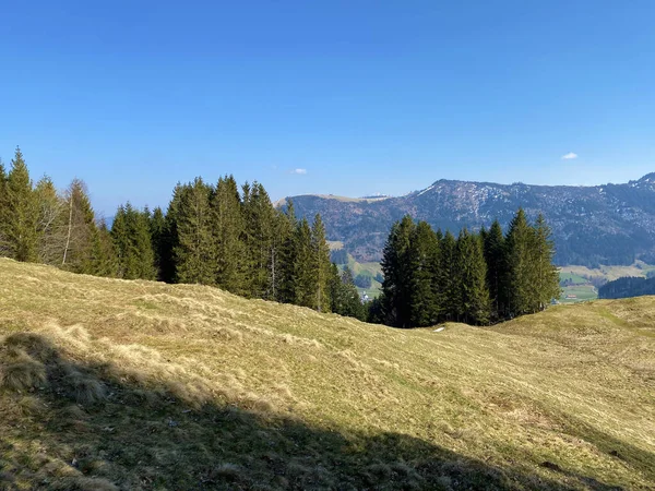 Alpské Pastviny Pastviny Alptského Údolí Okolních Kopcích Začátku Jara Einsiedeln — Stock fotografie