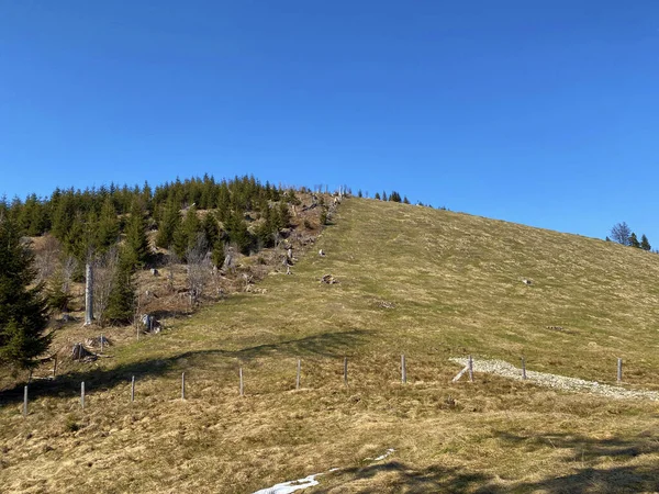 Pascoli Alpini Prati Della Valle Alpina Sulle Colline Circostanti All — Foto Stock