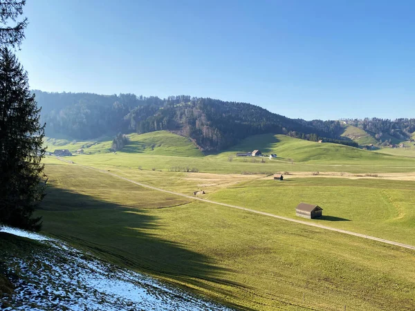 Alpine Pastures Grasslands Alptal Valley Surrounding Hills Early Spring Einsiedeln — Stock Photo, Image