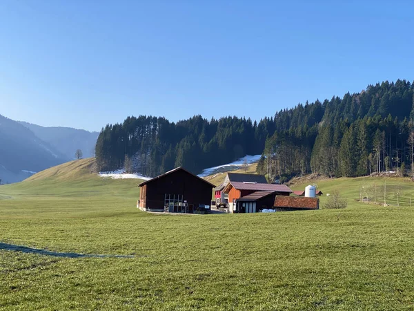 Fermele Animale Familie Arhitectura Rurală Tradițională Valea Alptică Lungul Râului — Fotografie, imagine de stoc