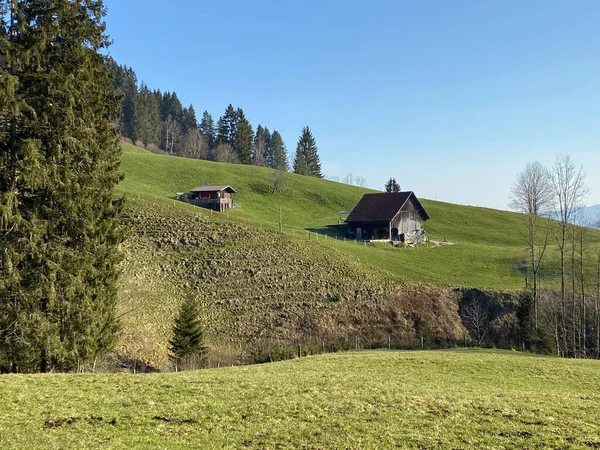 家族の家畜農場と伝統的な農村建築アルパール渓谷とアルプ川沿い アインシデェルン スイスのシュヴィーツ州 スイス — ストック写真