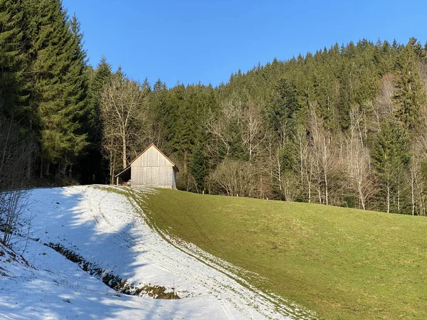 Rodzinne Gospodarstwa Hodowlane Tradycyjna Architektura Wiejska Dolinie Alptal Wzdłuż Rzeki — Zdjęcie stockowe