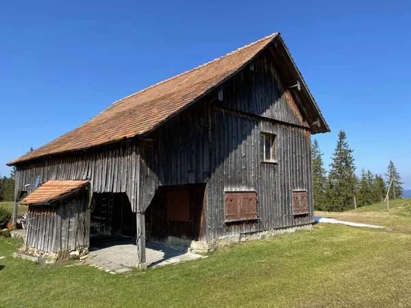 Rodzinne Gospodarstwa Hodowlane Tradycyjna Architektura Wiejska Dolinie Alptal Wzdłuż Rzeki — Zdjęcie stockowe