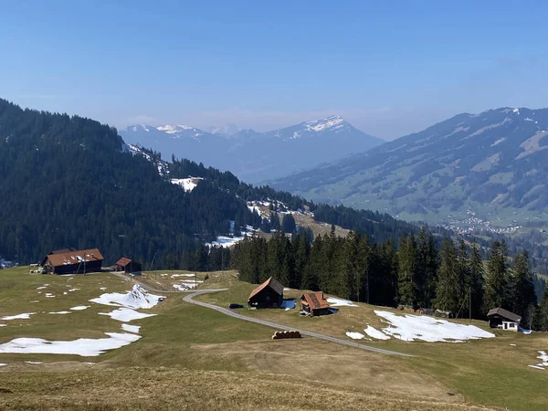 Exploitations Familiales Architecture Rurale Traditionnelle Dans Vallée Alptal Long Rivière — Photo