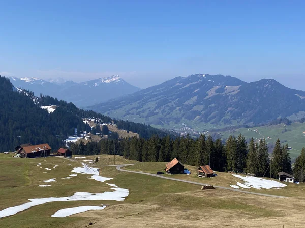 Aile Çiftlikleri Alptal Vadisi Alp Nehri Boyunca Geleneksel Kırsal Mimari — Stok fotoğraf