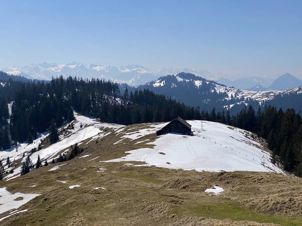 Aile Çiftlikleri Alptal Vadisi Alp Nehri Boyunca Geleneksel Kırsal Mimari — Stok fotoğraf