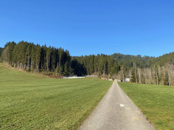 Trails for walking, hiking, sports and recreation in the Alptal alpine valley and along the Alp river, Einsiedeln - Canton of Schwyz, Switzerland (Schweiz)