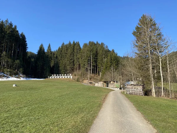 Trails for walking, hiking, sports and recreation in the Alptal alpine valley and along the Alp river, Einsiedeln - Canton of Schwyz, Switzerland (Schweiz)