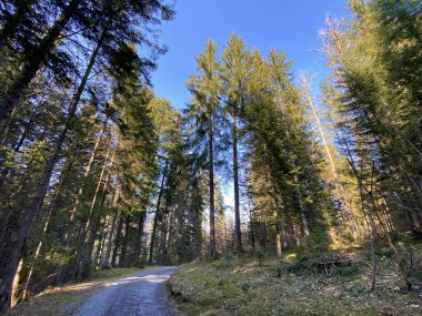 Alptal Alp Vadisi 'nde yürüyüş, yürüyüş, spor ve dinlenme yolları ve Alp Nehri boyunca Einsiedeln - Schwyz Kantonu, İsviçre (Schweiz)