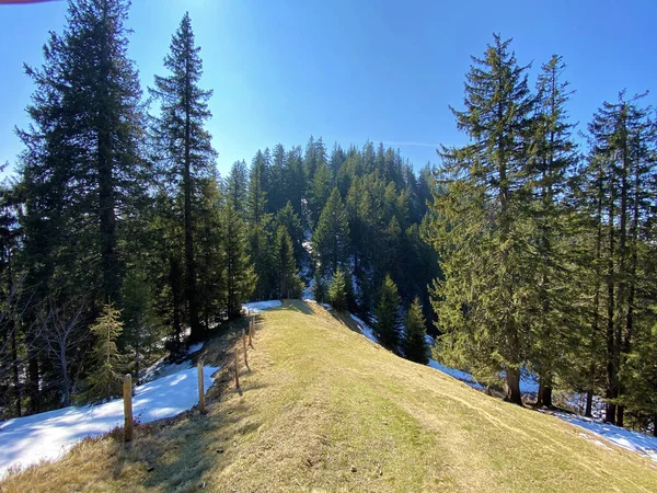 アルプタール高山渓谷とアルプス川沿いのウォーキング ハイキング スポーツ レクリエーションのための道 Einsiedeln カントン シュヴィーツ スイス スイス — ストック写真