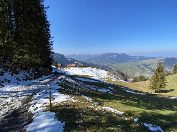 Stezky Pro Pěší Turistiku Sport Rekreaci Alpském Údolí Podél Řeky — Stock fotografie