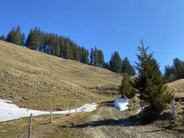 Trails for walking, hiking, sports and recreation in the Alptal alpine valley and along the Alp river, Einsiedeln - Canton of Schwyz, Switzerland (Schweiz)