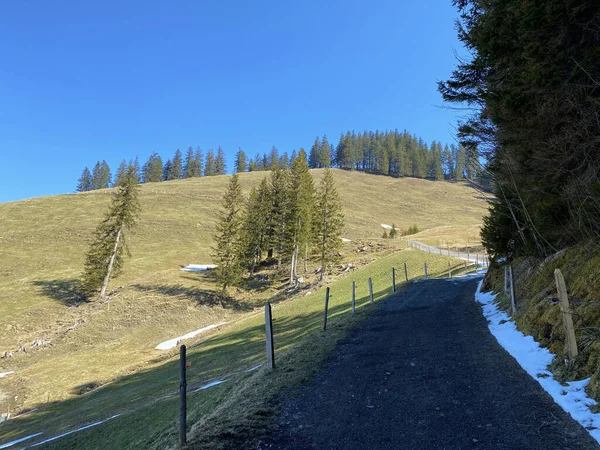 Wandel Wandel Sport Recreatiepaden Het Alpendal Langs Rivier Alp Einsiedeln — Stockfoto