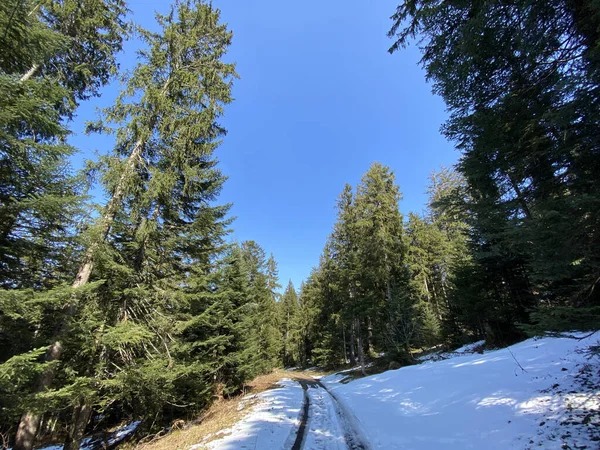 Trails for walking, hiking, sports and recreation in the Alptal alpine valley and along the Alp river, Einsiedeln - Canton of Schwyz, Switzerland (Schweiz)