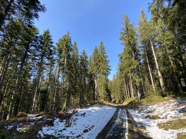 Trails for walking, hiking, sports and recreation in the Alptal alpine valley and along the Alp river, Einsiedeln - Canton of Schwyz, Switzerland (Schweiz)