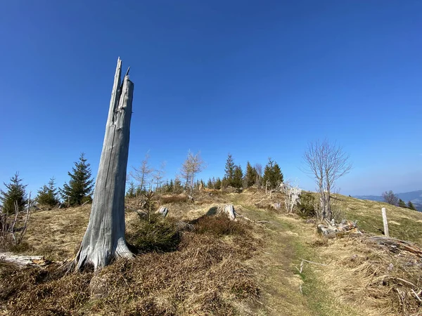 Trails for walking, hiking, sports and recreation in the Alptal alpine valley and along the Alp river, Einsiedeln - Canton of Schwyz, Switzerland (Schweiz)