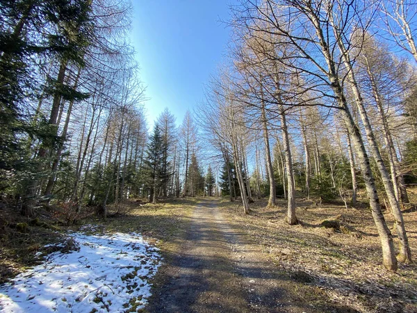 Trails for walking, hiking, sports and recreation in the Alptal alpine valley and along the Alp river, Einsiedeln - Canton of Schwyz, Switzerland (Schweiz)