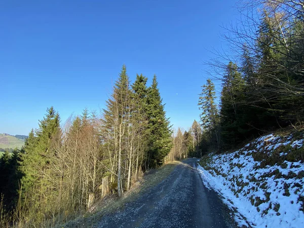 Trails for walking, hiking, sports and recreation in the Alptal alpine valley and along the Alp river, Einsiedeln - Canton of Schwyz, Switzerland (Schweiz)