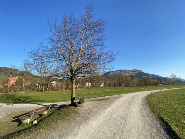Trails for walking, hiking, sports and recreation in the Alptal alpine valley and along the Alp river, Einsiedeln - Canton of Schwyz, Switzerland (Schweiz)