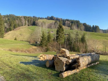 Alptal Alp Vadisi 'ndeki tepelerin yamaçlarında bulunan karışık ormanlar ve seyreltilmiş ağaçlar, Einsiedeln - Schwyz Kantonu, İsviçre (Schweiz)