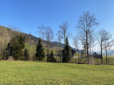 Alptal Alp Vadisi 'ndeki tepelerin yamaçlarında bulunan karışık ormanlar ve seyreltilmiş ağaçlar, Einsiedeln - Schwyz Kantonu, İsviçre (Schweiz)
