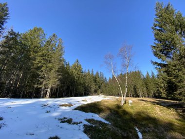 Erken bahar atmosferi ve Alptal Alp Vadisi 'ndeki son kış kalıntıları, Einsiedeln - Schwyz Kantonu, İsviçre (Schweiz)