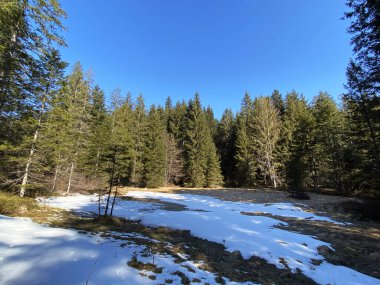 Erken bahar atmosferi ve Alptal Alp Vadisi 'ndeki son kış kalıntıları, Einsiedeln - Schwyz Kantonu, İsviçre (Schweiz)