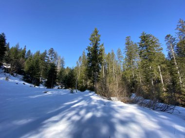Erken bahar atmosferi ve Alptal Alp Vadisi 'ndeki son kış kalıntıları, Einsiedeln - Schwyz Kantonu, İsviçre (Schweiz)