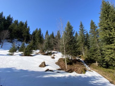 Erken bahar atmosferi ve Alptal Alp Vadisi 'ndeki son kış kalıntıları, Einsiedeln - Schwyz Kantonu, İsviçre (Schweiz)