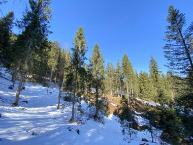 Erken bahar atmosferi ve Alptal Alp Vadisi 'ndeki son kış kalıntıları, Einsiedeln - Schwyz Kantonu, İsviçre (Schweiz)