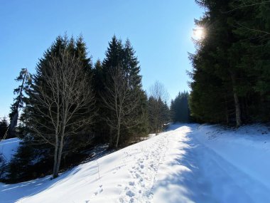 Erken bahar atmosferi ve Alptal Alp Vadisi 'ndeki son kış kalıntıları, Einsiedeln - Schwyz Kantonu, İsviçre (Schweiz)