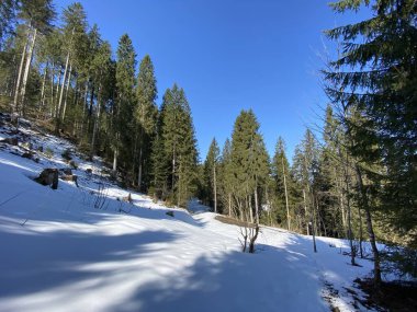 Erken bahar atmosferi ve Alptal Alp Vadisi 'ndeki son kış kalıntıları, Einsiedeln - Schwyz Kantonu, İsviçre (Schweiz)