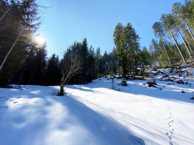 Erken bahar atmosferi ve Alptal Alp Vadisi 'ndeki son kış kalıntıları, Einsiedeln - Schwyz Kantonu, İsviçre (Schweiz)