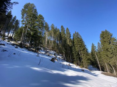 Erken bahar atmosferi ve Alptal Alp Vadisi 'ndeki son kış kalıntıları, Einsiedeln - Schwyz Kantonu, İsviçre (Schweiz)