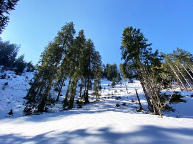 Erken bahar atmosferi ve Alptal Alp Vadisi 'ndeki son kış kalıntıları, Einsiedeln - Schwyz Kantonu, İsviçre (Schweiz)