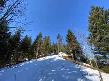Erken bahar atmosferi ve Alptal Alp Vadisi 'ndeki son kış kalıntıları, Einsiedeln - Schwyz Kantonu, İsviçre (Schweiz)