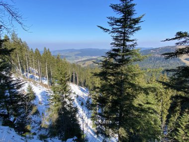 Erken bahar atmosferi ve Alptal Alp Vadisi 'ndeki son kış kalıntıları, Einsiedeln - Schwyz Kantonu, İsviçre (Schweiz)