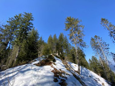 Erken bahar atmosferi ve Alptal Alp Vadisi 'ndeki son kış kalıntıları, Einsiedeln - Schwyz Kantonu, İsviçre (Schweiz)