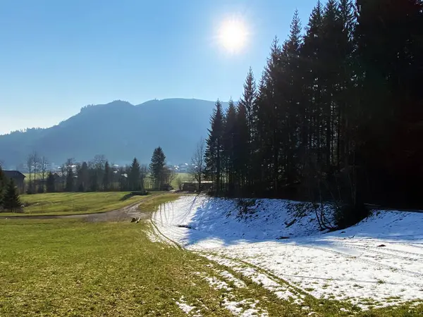 早春の雰囲気とアルプスの高山の谷での冬の最後の残りの部分 Einsiedeln シュヴィーツのカントン スイス スイス — ストック写真