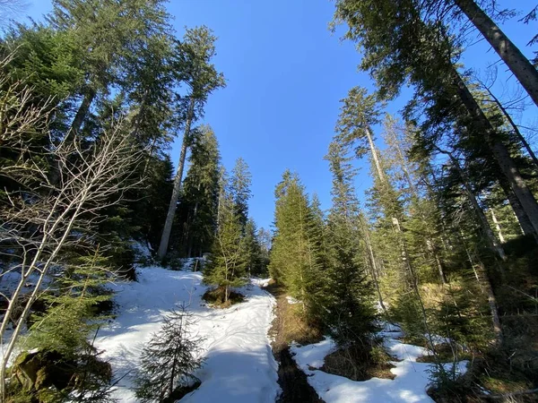 Atmósfera Primavera Temprana Los Últimos Restos Invierno Valle Alpino Einsiedeln — Foto de Stock