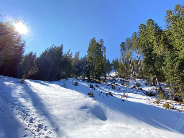 Início Primavera Atmosfera Últimos Vestígios Inverno Vale Alpino Alptal Einsiedeln — Fotografia de Stock