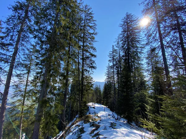 Wczesna Wiosenna Atmosfera Ostatnie Pozostałości Zimy Alptal Alpejskiej Dolinie Einsiedeln — Zdjęcie stockowe