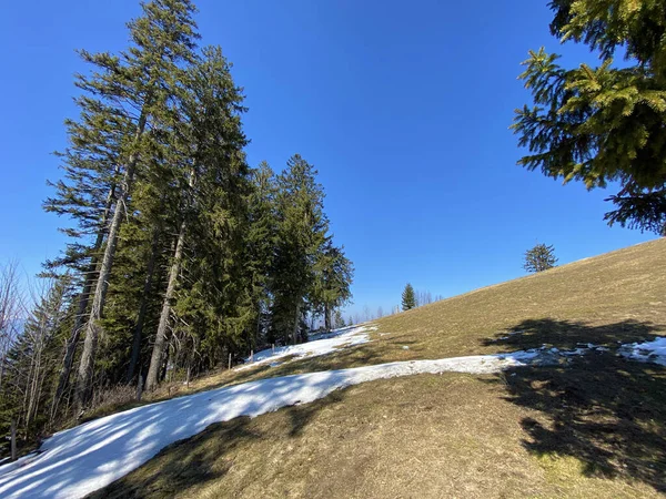 Early Spring Atmosphere Last Remnants Winter Alptal Alpine Valley Einsiedeln — Stock Photo, Image