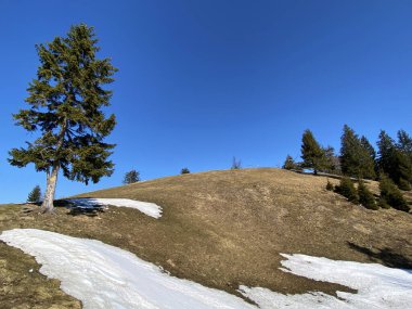Erken bahar atmosferi ve Alptal Alp Vadisi 'ndeki son kış kalıntıları, Einsiedeln - Schwyz Kantonu, İsviçre (Schweiz)