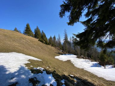 Erken bahar atmosferi ve Alptal Alp Vadisi 'ndeki son kış kalıntıları, Einsiedeln - Schwyz Kantonu, İsviçre (Schweiz)
