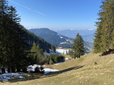 Erken bahar atmosferi ve Alptal Alp Vadisi 'ndeki son kış kalıntıları, Einsiedeln - Schwyz Kantonu, İsviçre (Schweiz)