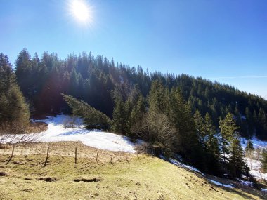 Erken bahar atmosferi ve Alptal Alp Vadisi 'ndeki son kış kalıntıları, Einsiedeln - Schwyz Kantonu, İsviçre (Schweiz)