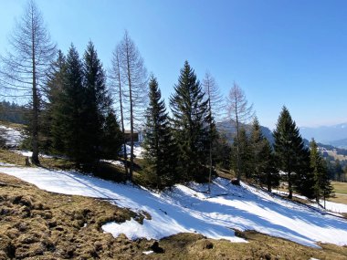 Erken bahar atmosferi ve Alptal Alp Vadisi 'ndeki son kış kalıntıları, Einsiedeln - Schwyz Kantonu, İsviçre (Schweiz)