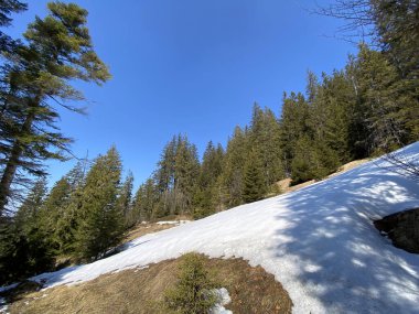 Erken bahar atmosferi ve Alptal Alp Vadisi 'ndeki son kış kalıntıları, Einsiedeln - Schwyz Kantonu, İsviçre (Schweiz)