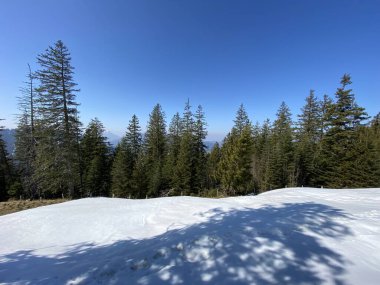 Erken bahar atmosferi ve Alptal Alp Vadisi 'ndeki son kış kalıntıları, Einsiedeln - Schwyz Kantonu, İsviçre (Schweiz)